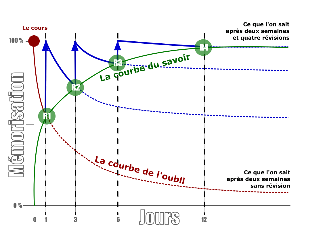 Supposons que vous ayez un cours aujourd'hui. C'est la pastille rouge. Supposons encore que vous avez écouté et que vous avez l'impression d'avoir tout compris. Vouis êtes sûr de retenir sans effort. Ben non. Regardez la courbe rouge. C'est la courbe de l'oubli. Demain vous ne saurez plius que 50% du cours et presque plus rien dans une dizaine de jours.<br/>Faites une révision intégrale demain (R1) pour remettre votre mémoire au niveau de ce que vous saviez pendant le cours. Puis une autre dans trois jours (R2) et une autre dans 6 jours et peut-être même une dernière dans 12 jours.<br/>Là, oui, vous aurez tout retenu et pour ttrès longtemps. Votre mémoir aura suivi la courbe verte, celle de la mémorisation, du savoir. La répétition espacée pour mémoriser les maths